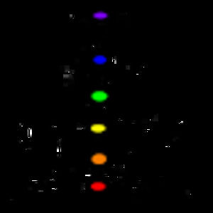 Meet your Posher, Darlene